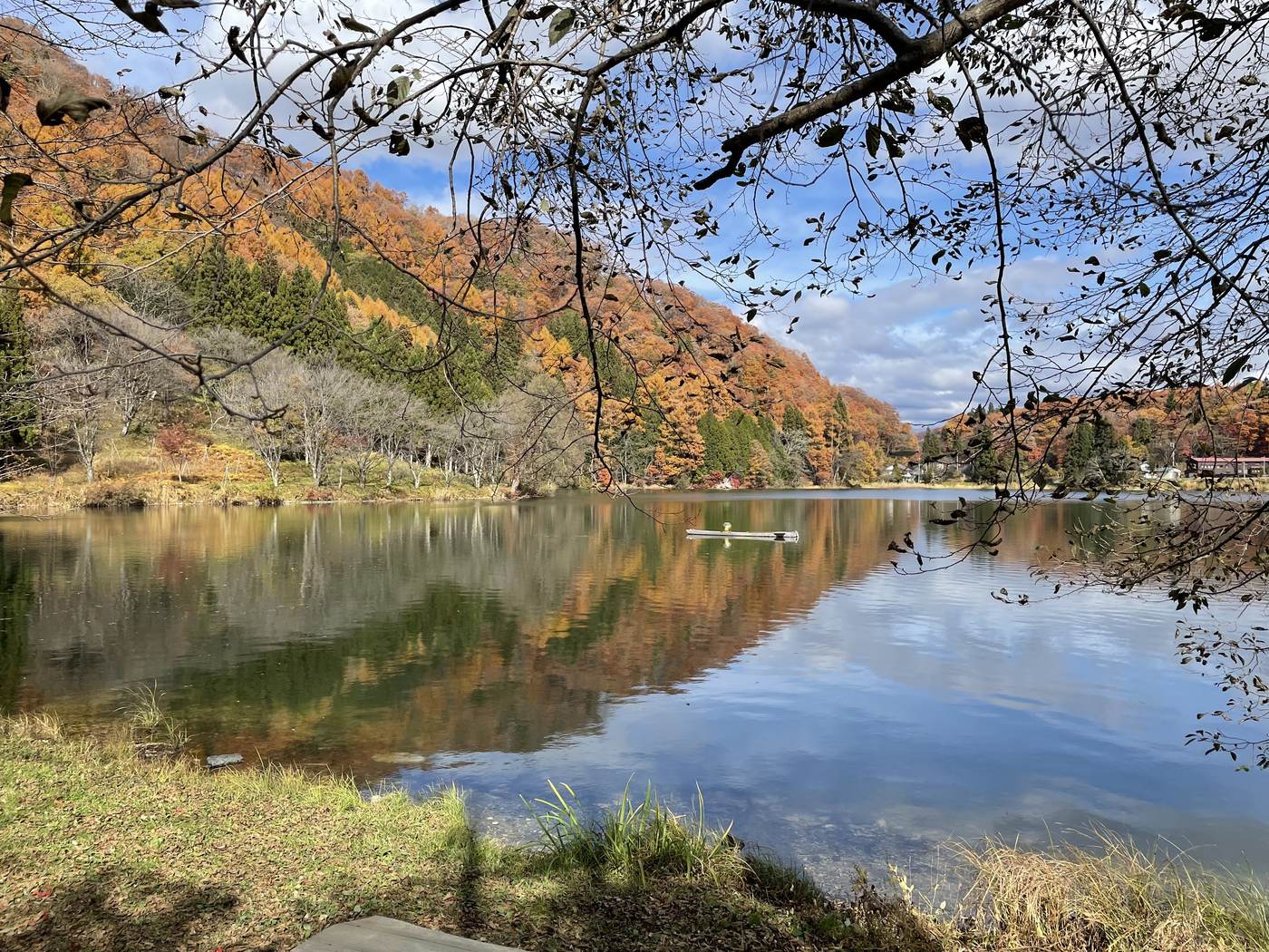 Autumn on a Hakuba lake, seen through the trees